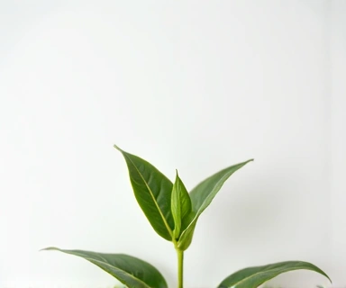 A thank you card with a small plant, symbolizing gratitude and growth.